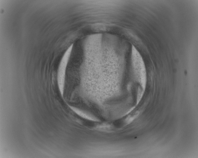 X0000076030125200610152057