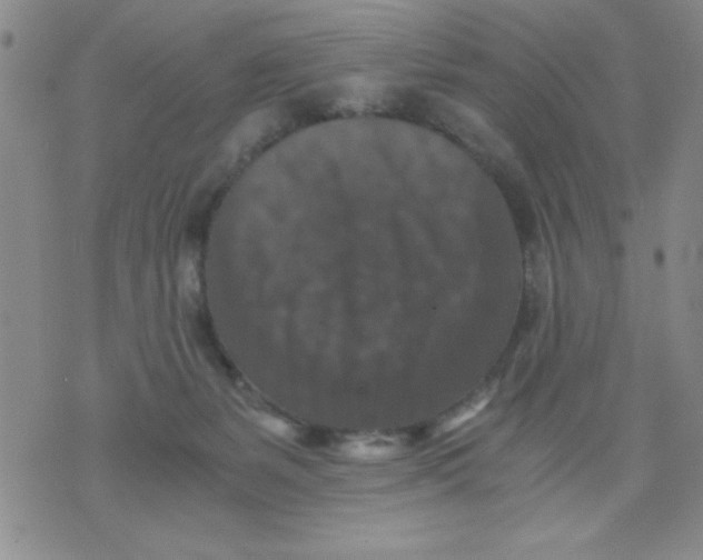 X0000076030127200610152057