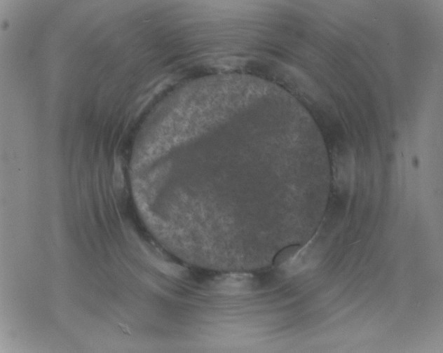 X0000076030128200610152057