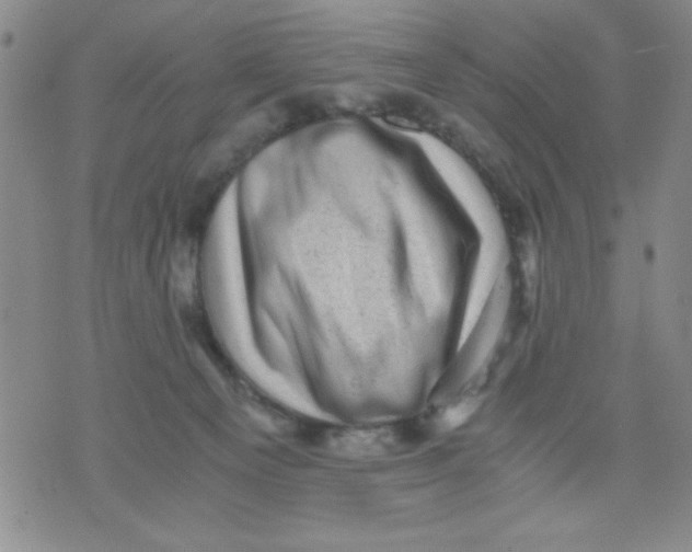 X0000076030129200610152057