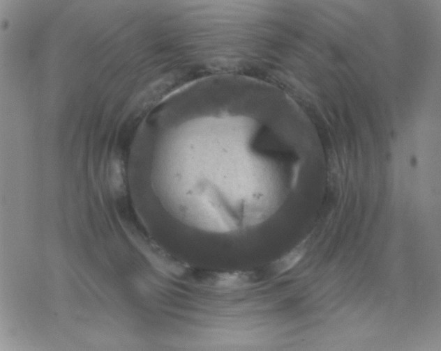 X0000076030130200610152057