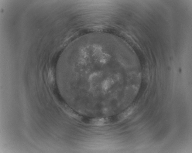 X0000076030131200610152057