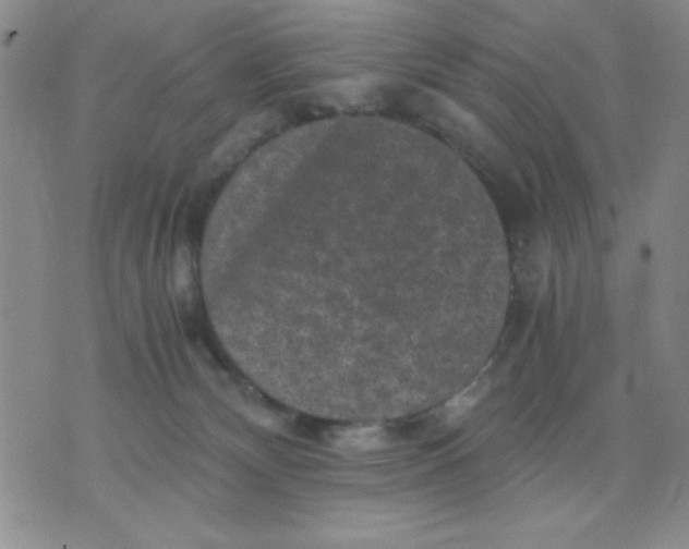 X0000076030132200610152057