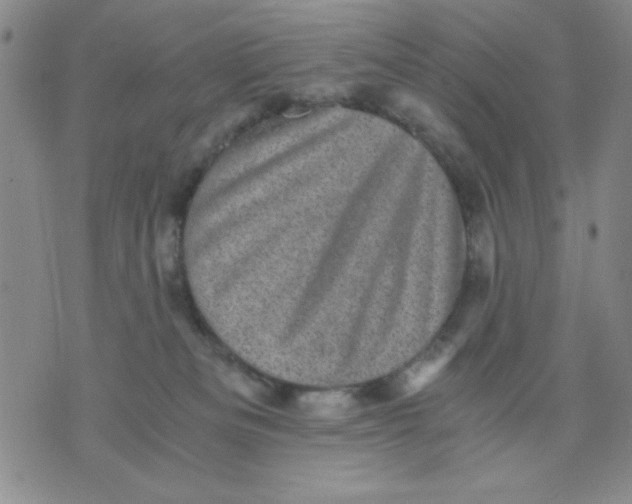 X0000076030133200610152057