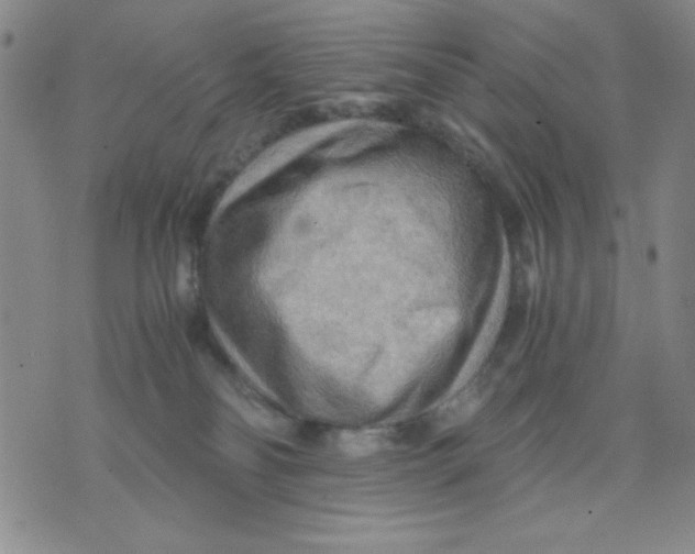 X0000076030134200610152057