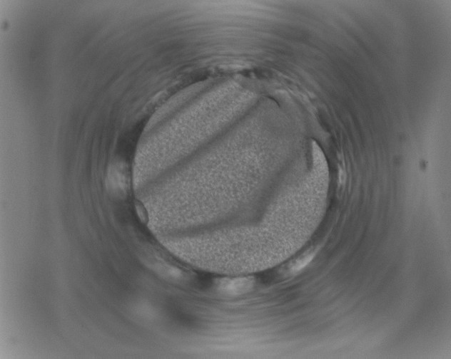 X0000076030135200610152057