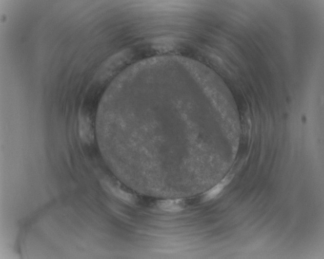 X0000076030136200610152057