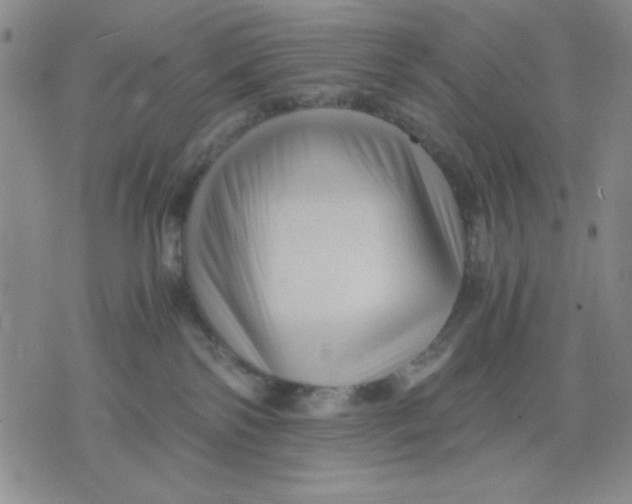 X0000076030138200610152057