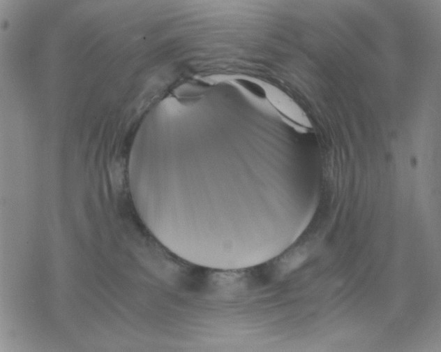 X0000076030139200610152057