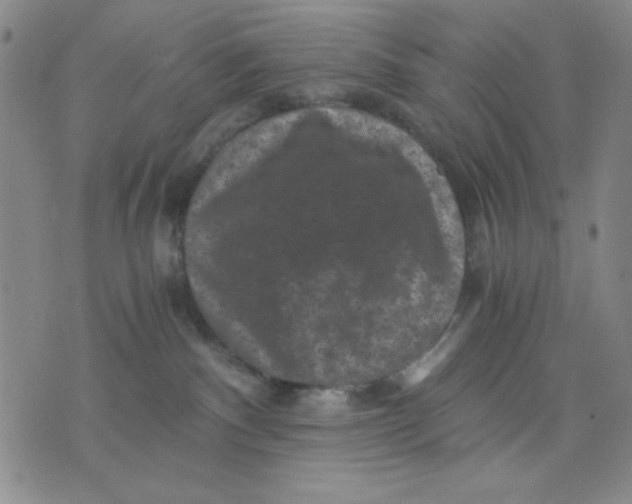 X0000076030140200610152057