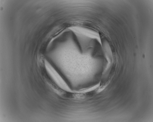 X0000076030141200610152057