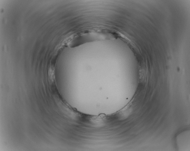 X0000076030142200610152056