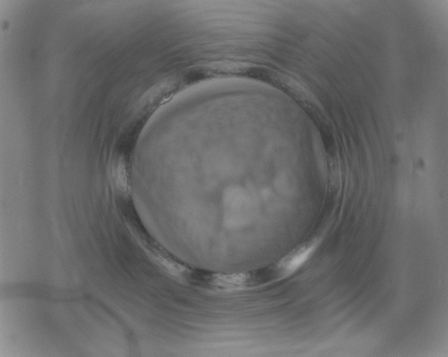 X0000076030143200610152056