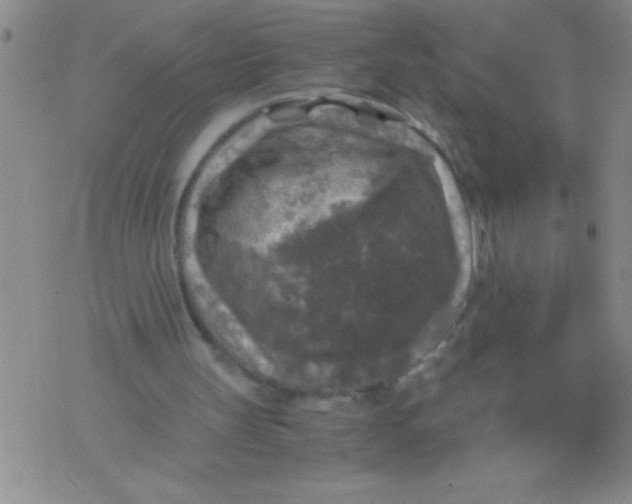 X0000076030147200610152056