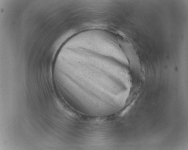 X0000076030148200610152056