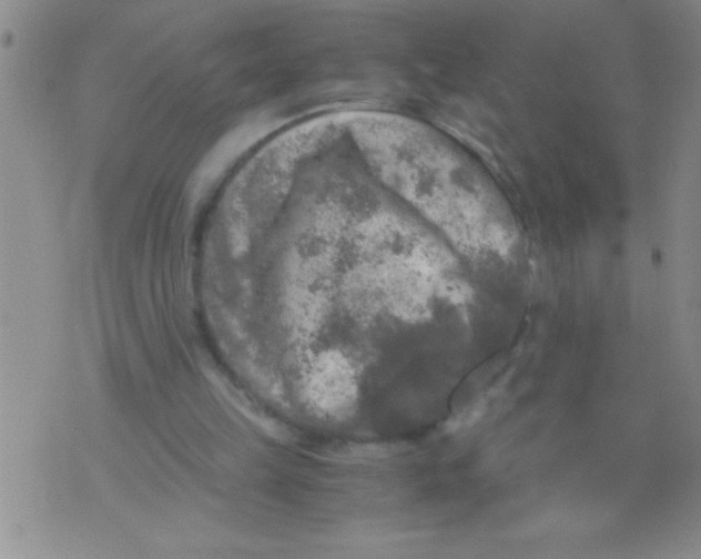 X0000076030149200610152056