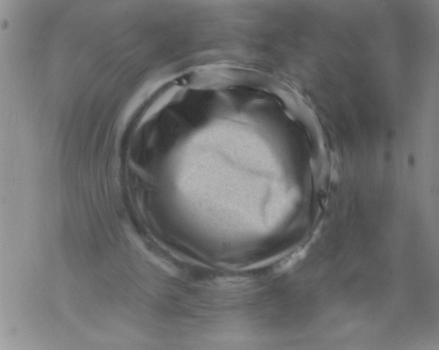 X0000076030150200610152056