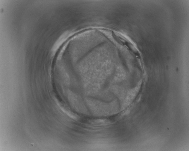 X0000076030151200610152056