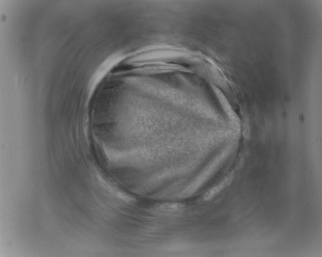 X0000076030152200610152056