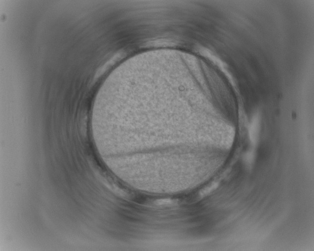 X0000076030153200610152056