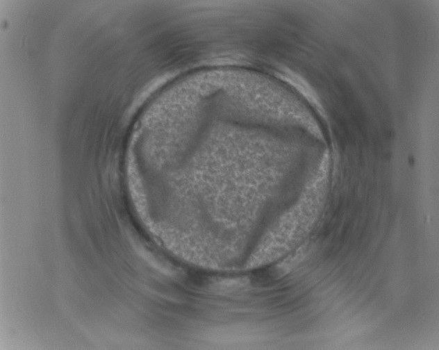 X0000076030155200610152056