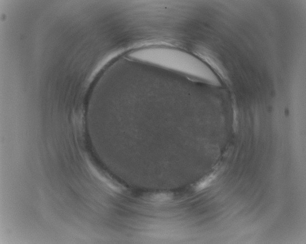 X0000076030156200610152056