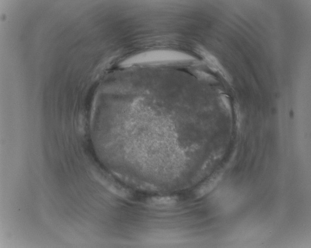 X0000076030161200610152056