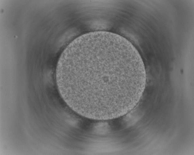 X0000076030162200610152056