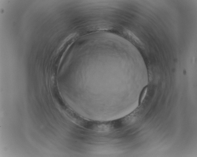 X0000076030163200610152056