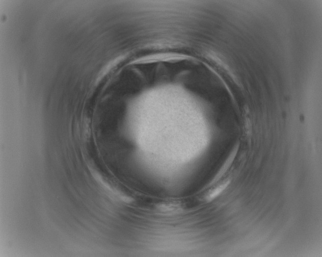 X0000076030164200610152056