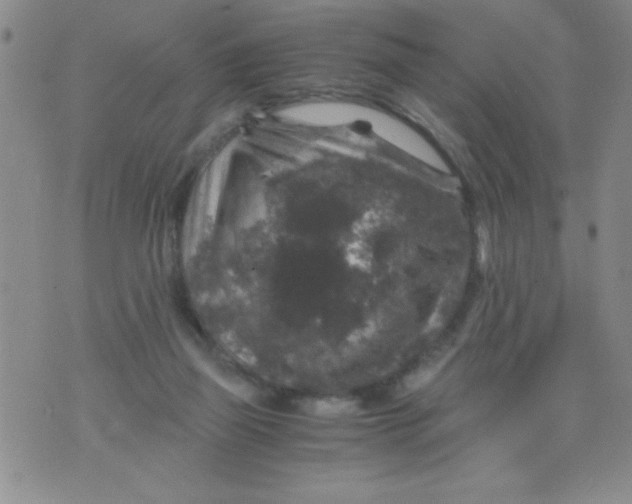 X0000076030165200610152056