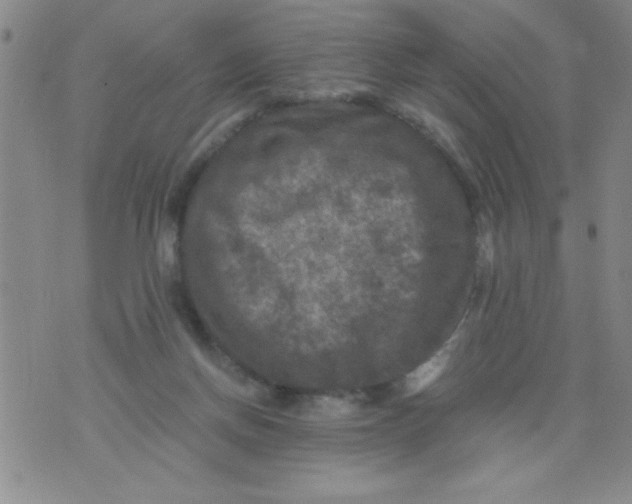 X0000076030166200610152056