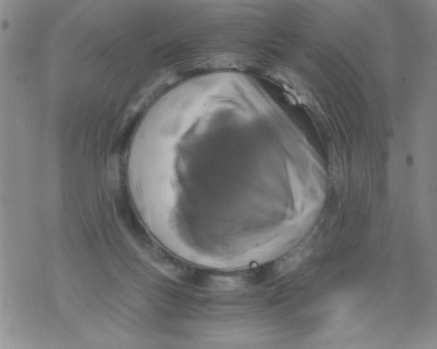 X0000076030167200610152056