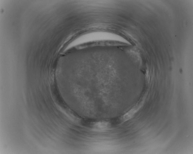 X0000076030168200610152056