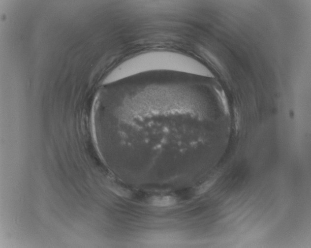 X0000076030169200610152056