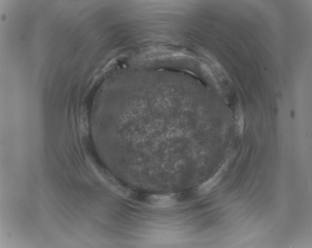 X0000076030170200610152056