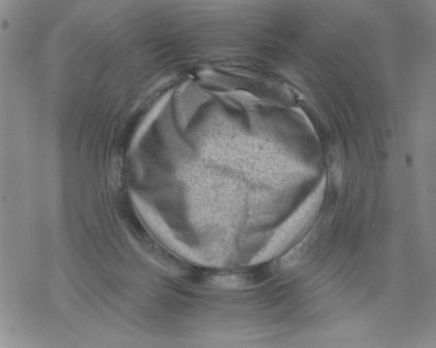 X0000076030171200610152056