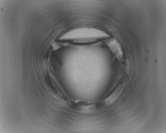 X0000076030172200610152056