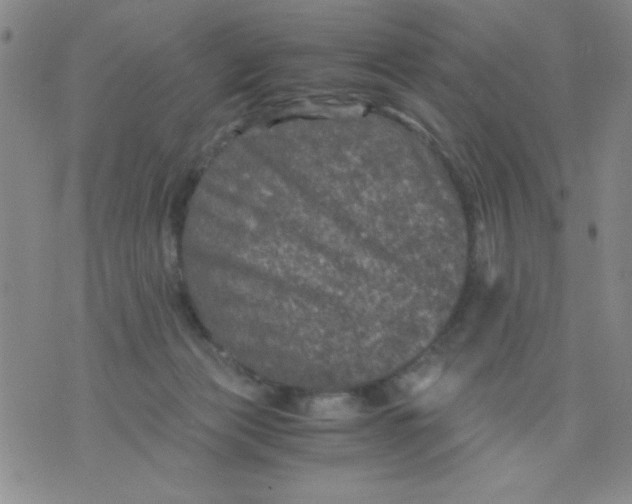 X0000076030173200610152056