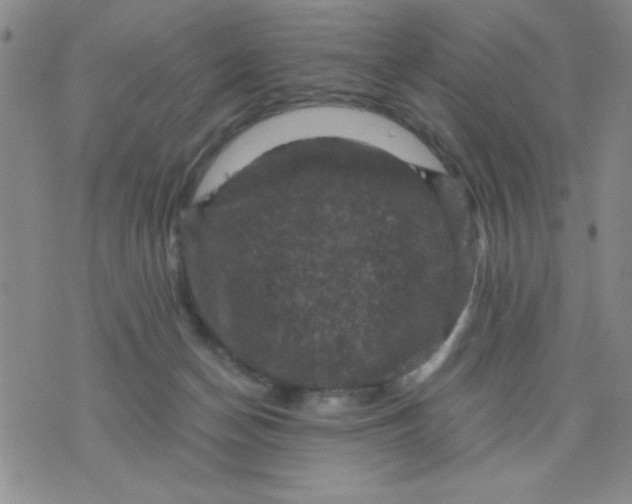 X0000076030174200610152056