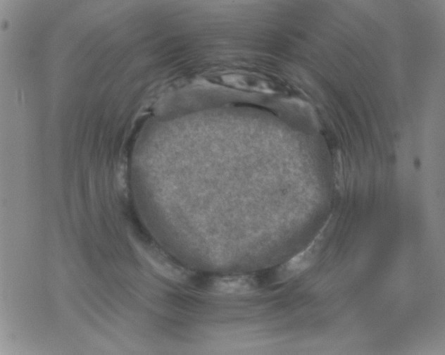 X0000076030175200610152056