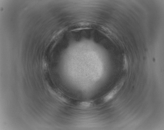 X0000076030176200610152056