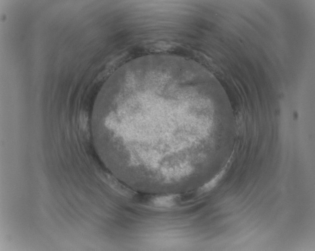 X0000076030178200610152056