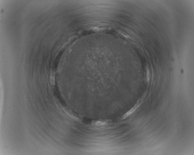 X0000076030180200610152056