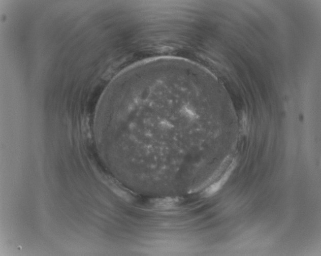 X0000076030182200610152056