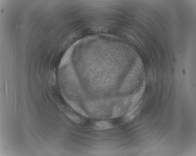 X0000076030183200610152056