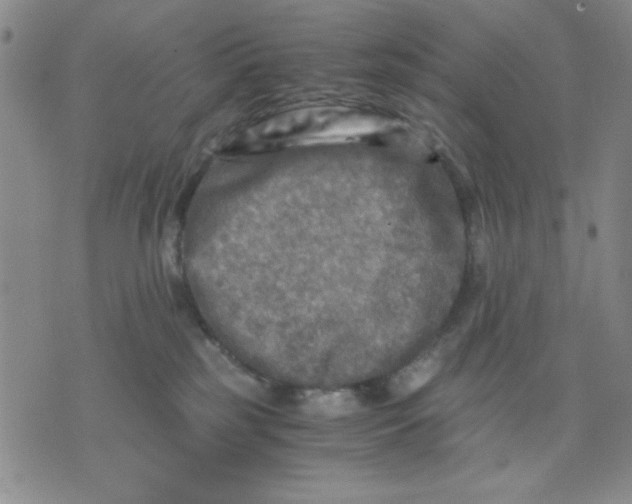 X0000076030185200610152056