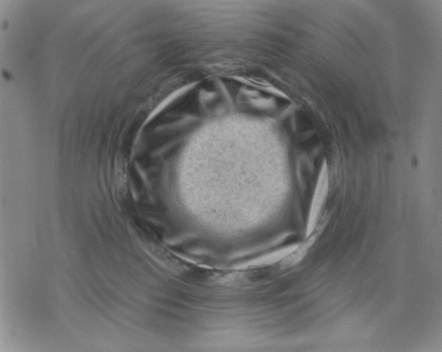 X0000076030186200610152056