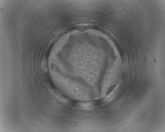 X0000076030187200610152056