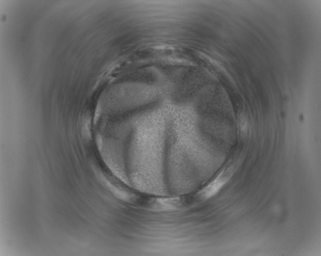 X0000076030188200610152056